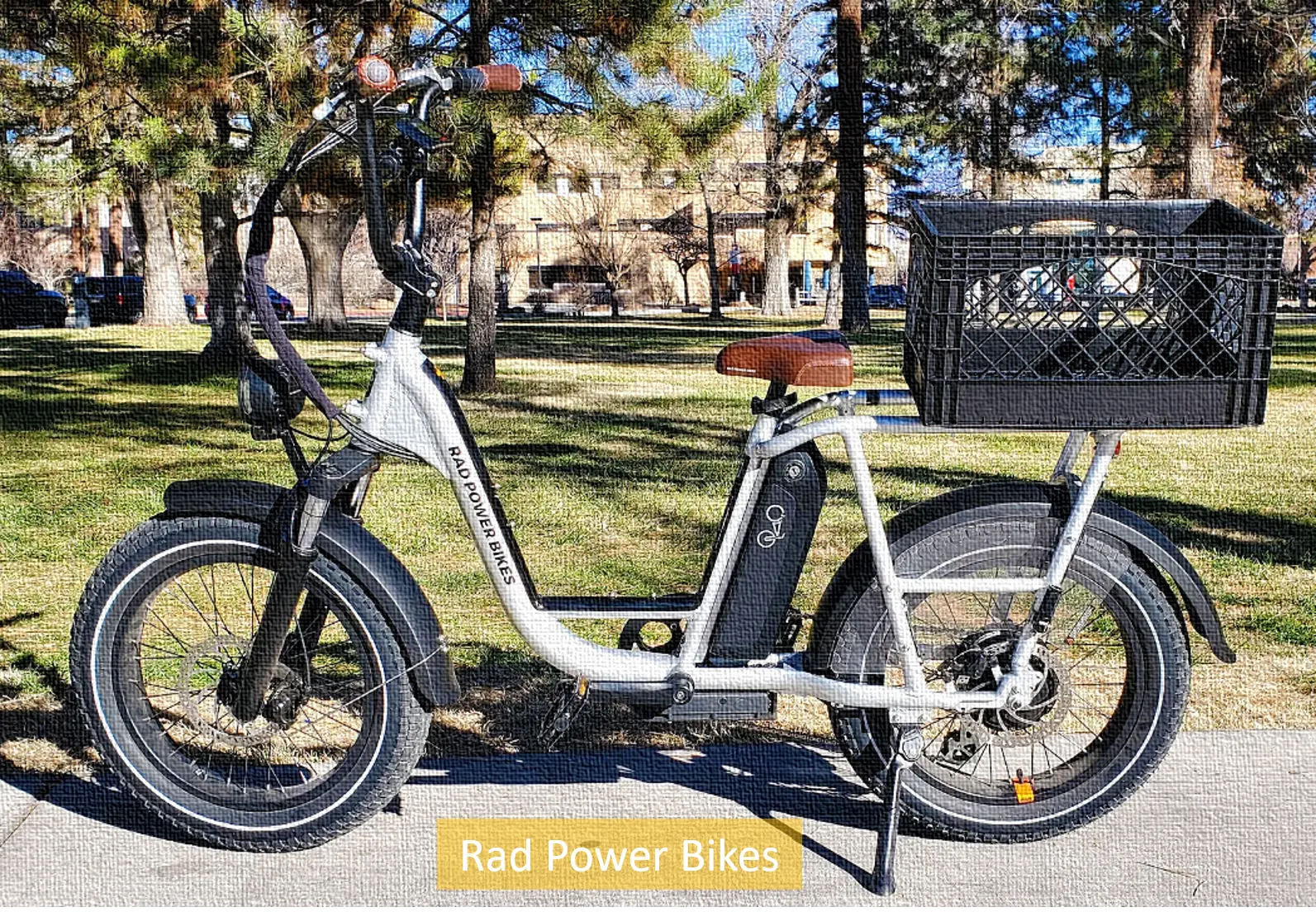 Rad Power Bikes